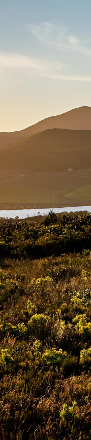 Erkunde das malerische Greyton